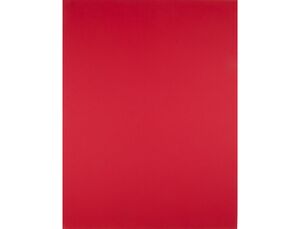 Cartulina Liderpapel 50X65 cm 180G/m2 Rojo Navidad