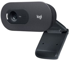 Webcam Logitech C505E 720P Hd Negro