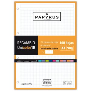 Recambio Papyrus 5X5 mm A4 160 Hj 90 Gr 10 Bandas Color