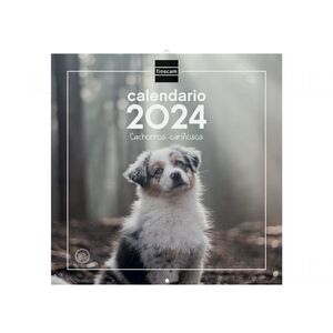 Calendario Pared 30X30 Cachorros Finocam 2024