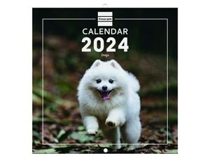 Calendario Pared 18X18 Dogs Finocam Intl 2024