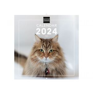 Calendario Pared 30X30 Cats Finocam Intl 2024