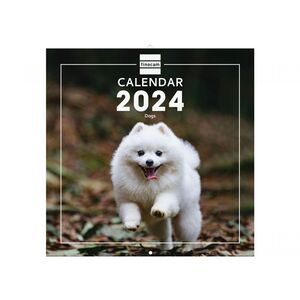 Calendario Pared 30X30 Dogs Finocam Intl 2024