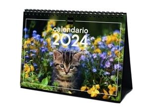 Calendario Sobremesa Gatitos Finocam 2024