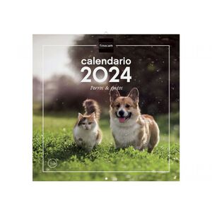 Calendario Pared 30X30 Perros y Gatos Finocam 2024