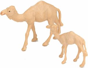 Cria Camello 3 cm