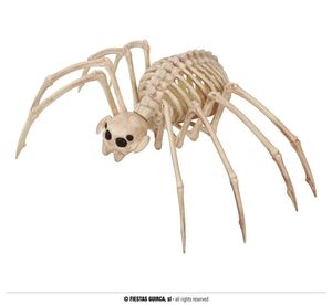 Esqueleto Tarantula 35X20 Cms