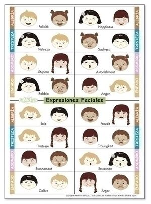 Fichas Kluger Expresiones Faciales en Varios Idiomas Pack de 5