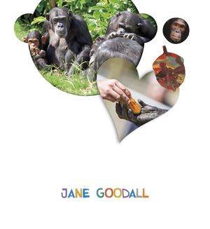 Jane Goodall, 4 Años, ¿lo Ves?