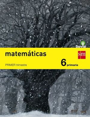 Matematicas 6º Primaria Trimestral (Savia)